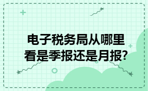 电子税务局从哪里看是季报还是月报?
