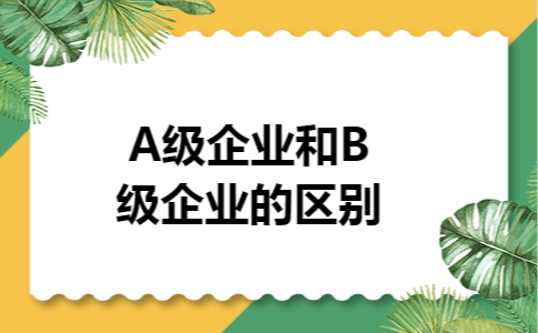 A级企业和B级企业的区别