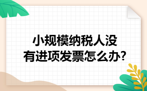 小规模纳税人没有进项发票怎么办?
