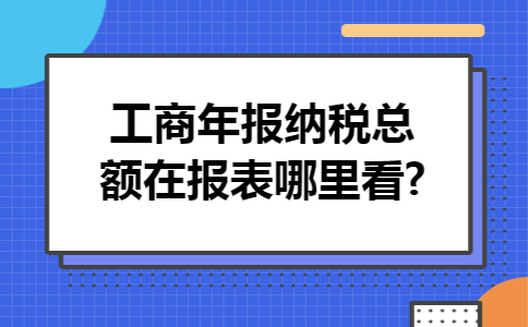 工商年报纳税总额在报表哪里看?