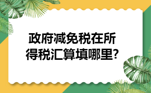 政府减免税在所得税汇算填哪里?