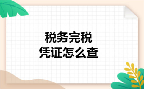 税务完税凭证怎么查