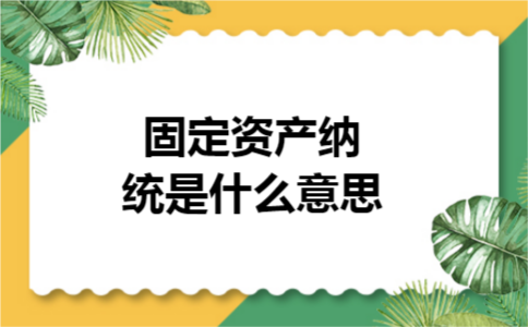 固定资产纳统是什么意思