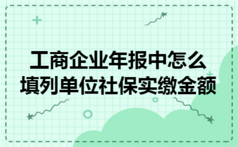 工商企业年报中怎么填列单位社保实缴金额