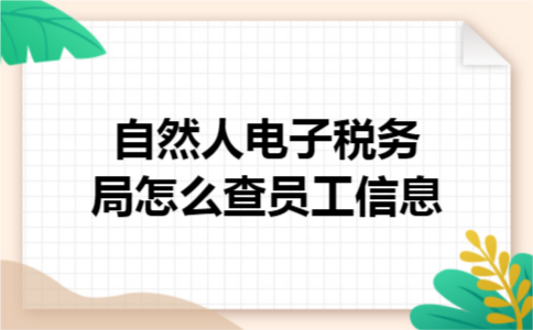 自然人电子税务局怎么查员工信息
