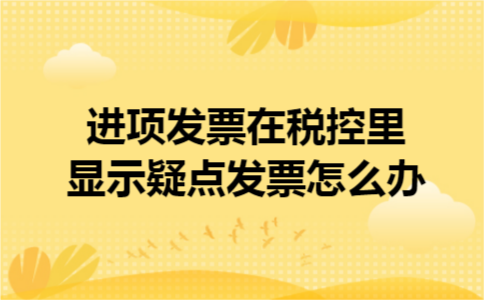 进项发票在税控里显示疑点发票怎么办