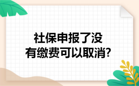 社保申报了没有缴费可以取消?