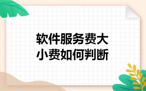 软件服务费大小费如何判断