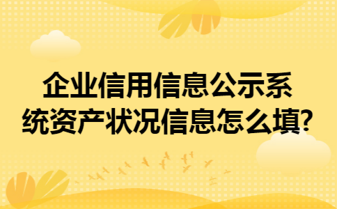 企业信用信息公示系统资产状况信息怎么填?