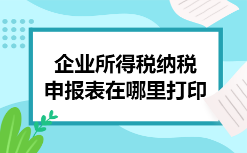 企业所得税纳税申报表在哪里打印