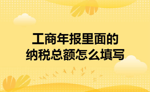 工商年报里面的纳税总额怎么填写
