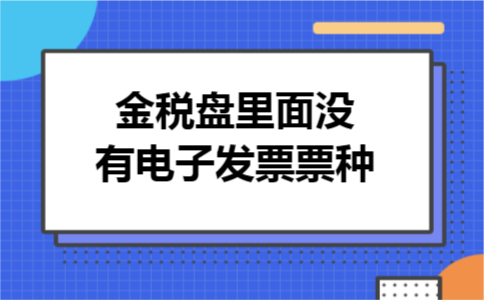 金税盘里面没有电子发票票种