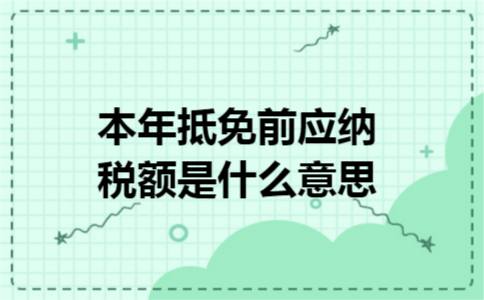 本年抵免前应纳税额是什么意思
