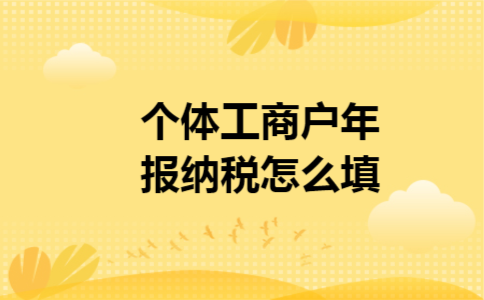 个体工商户年报纳税怎么填