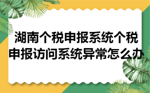 湖南个税申报系统个税申报访问系统异常怎么办