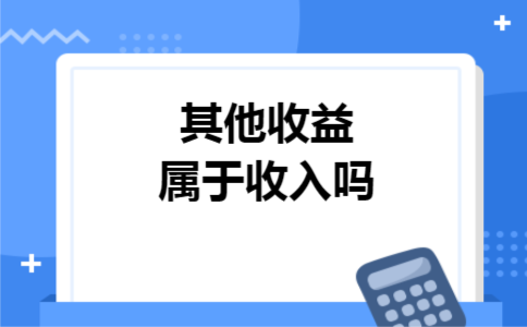 其他收益属于收入吗