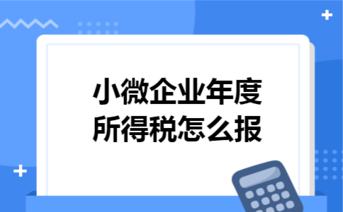 小微企业年度所得税怎么报