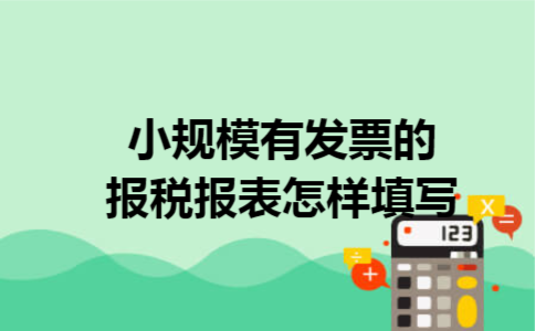 小规模有发票的报税报表怎样填写